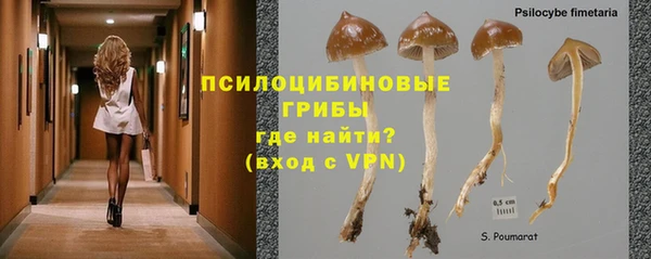 крисы Балахна