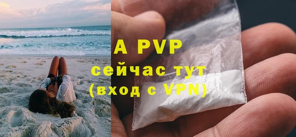 крисы Балахна