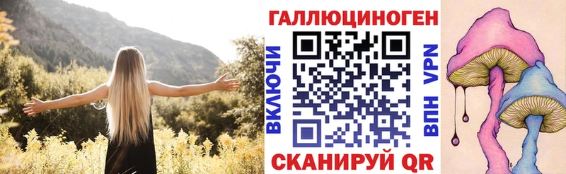 blacksprut ссылки  Вязники  Псилоцибиновые грибы Psilocybine cubensis 